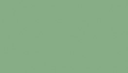 Pale green similar to RAL 6021